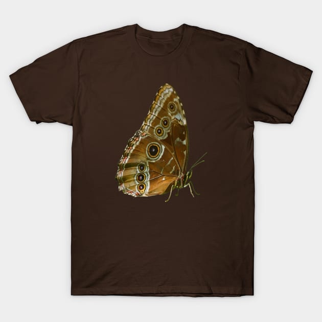 Beautiful Butterfly Wings of Meadow Brown Isolated T-Shirt by taiche